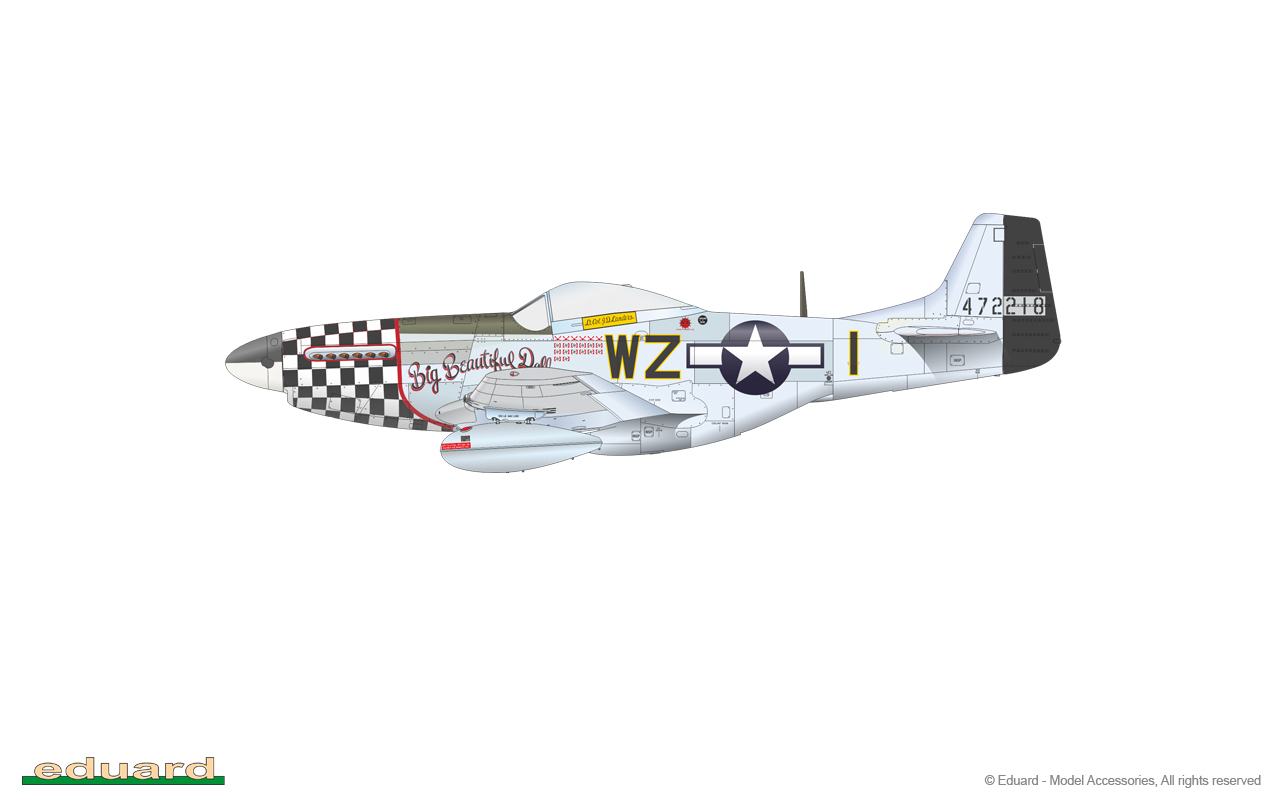 EDUARD BRASSIN 1/48 North-American P-51D Mustang Wheels Rainuré # 648514 