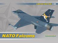 NATO Falcons 1/48 