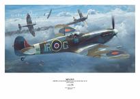 Spitfire Mk.Vc 