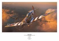 Плакат - Spitfire Mk.IXe 