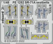 SR-71A seatbelts STEEL 1/48 