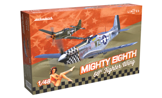 MIGHTY EIGHTH: 66th Fighter Wing 1/48  - 1