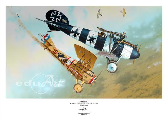 Poster - Albatros D.V 