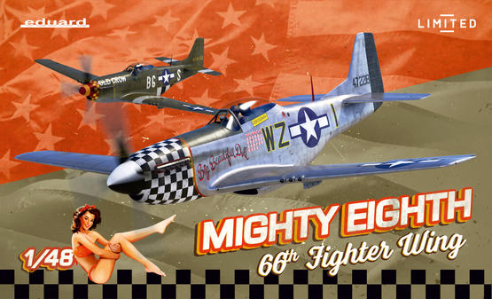 MIGHTY EIGHTH: 66th Fighter Wing 1/48  - 2