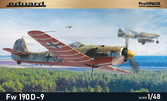 Fw 190D-9 1/48  - 2