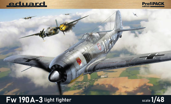 Fw 190A-3 light fighter 1/48  - 2
