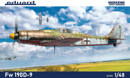 Fw 190D-9 1/48  - 2