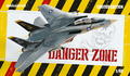 Danger Zone 1/48 