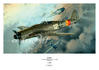 Poster - Fw 190D-9 