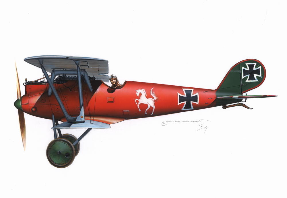 Pfalz D.IIIa / Fokker D.VII 1105