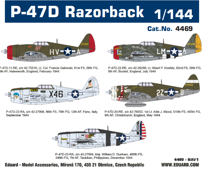 P-47D Razorback in 1/144 von Eduard
