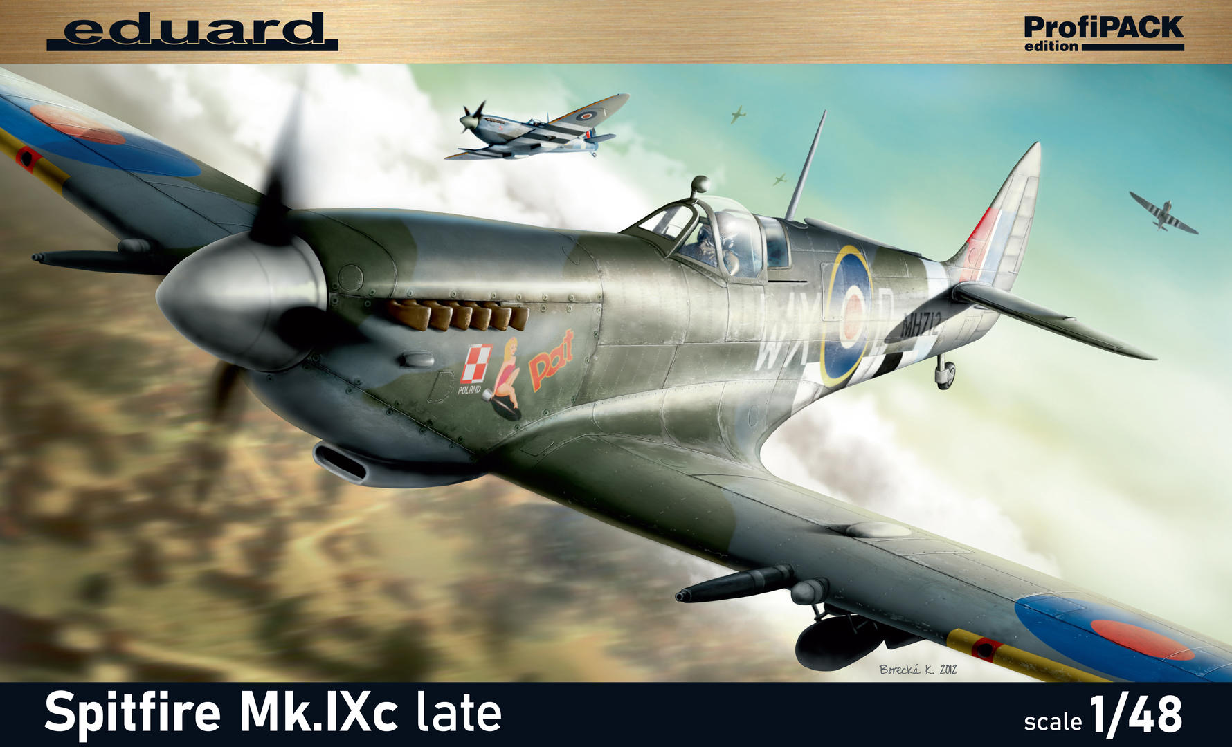 Eduard EduaBIG49263 Spitfire Mk.I 1//48